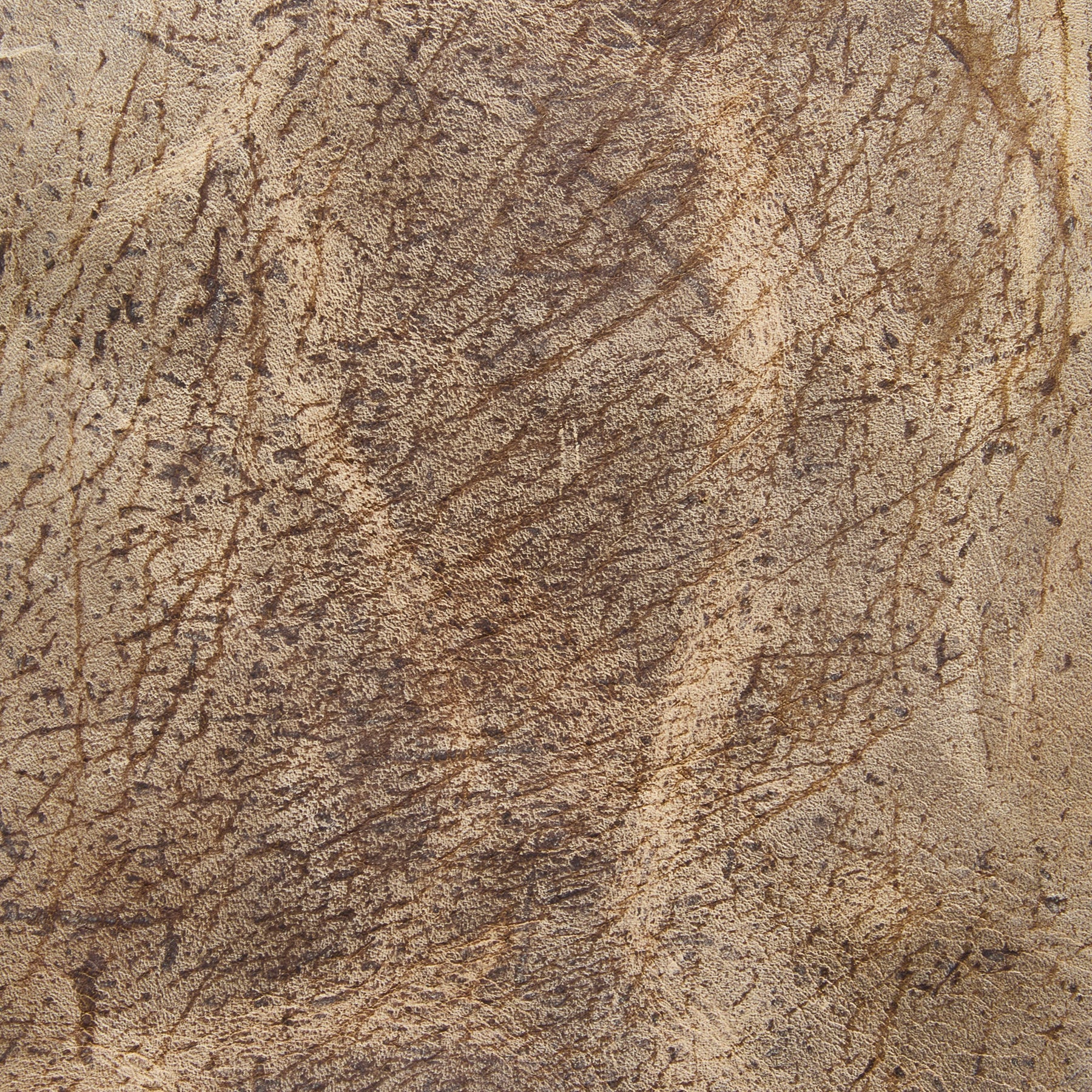 CF Stead, Kudu Waxy